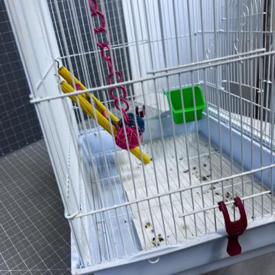 Bird Cage 