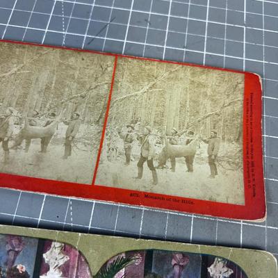 Antique Stereo View Cards (7) Various Scenes 