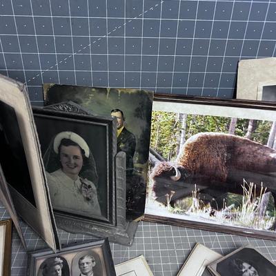 ANOTHER Lot of PHOTOS This is ART Folks.  BUFFALO! 