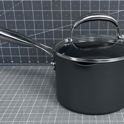 Technique Sauce Pan, New 