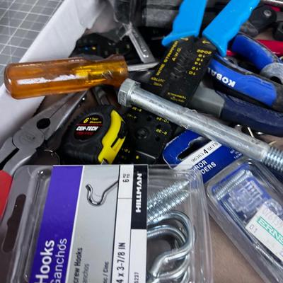 Tray of Mostly Tools 2 