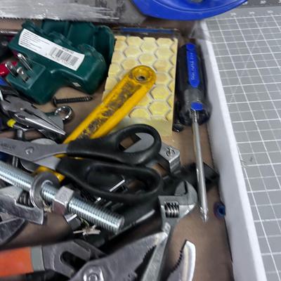 Tray of Mostly Tools 2 