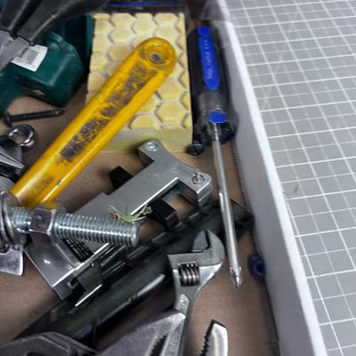 Tray of Mostly Tools 2 