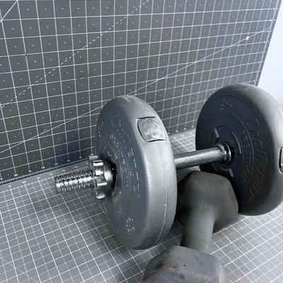 2 Different Type Dumb Bell Weights 