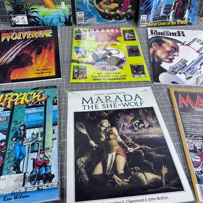 MARVEL Large Format Graphic Comics (9) 