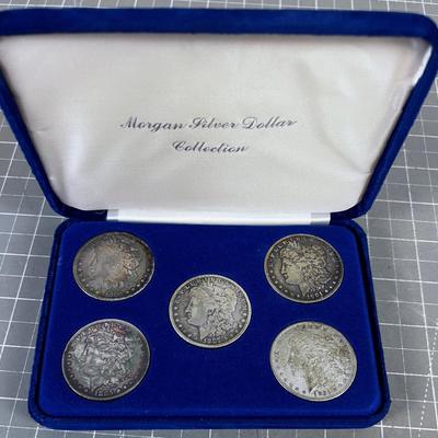 Collection of 5 Silver Dollars in Presentation CASE 