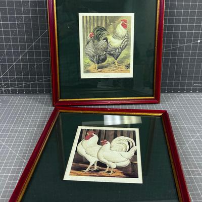 Pair of Vintage Chicken Prints Framed 