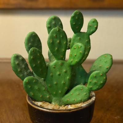 Small Decorative Faux Cactus