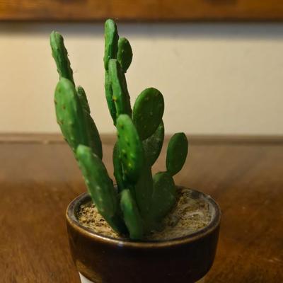 Small Decorative Faux Cactus