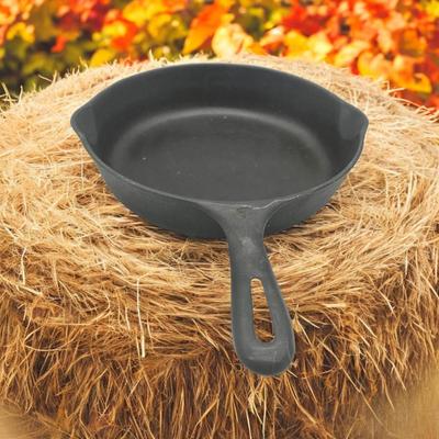 Cast Iron Skillet