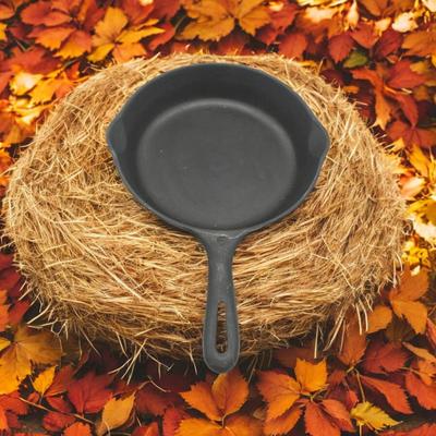 Cast Iron Skillet