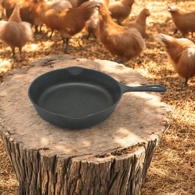 Cast Iron Skillet