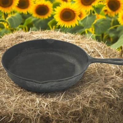 3 Notch Lodge Cast Iron Skillet