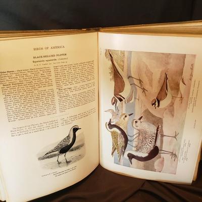 Old Fashioned Nature Books (HC-KD)