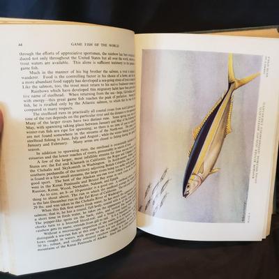 Old Fashioned Nature Books (HC-KD)