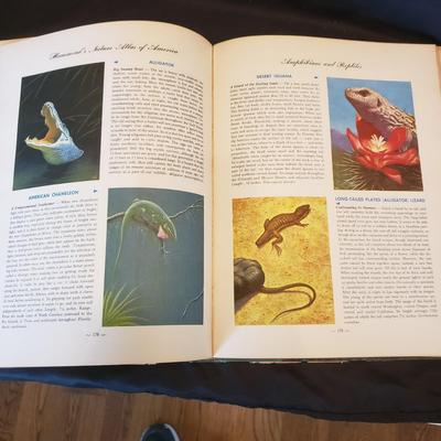 Old Fashioned Nature Books (HC-KD)