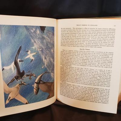 Old Fashioned Nature Books (HC-KD)