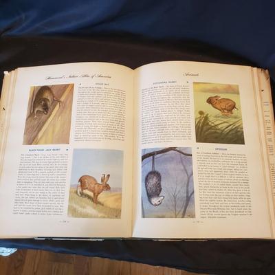 Old Fashioned Nature Books (HC-KD)