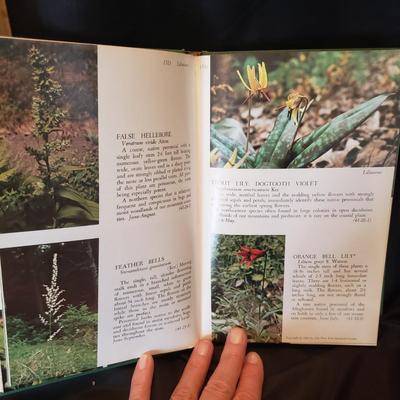 Old Fashioned Nature Books (HC-KD)