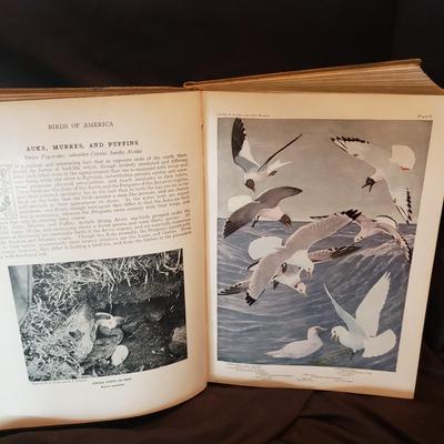 Old Fashioned Nature Books (HC-KD)