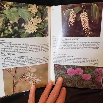 Old Fashioned Nature Books (HC-KD)