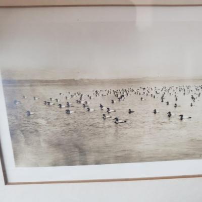 Decoy Books, a Wooden Loon by April F. and Vintage Duck on Water Framed Print (HC-KD)