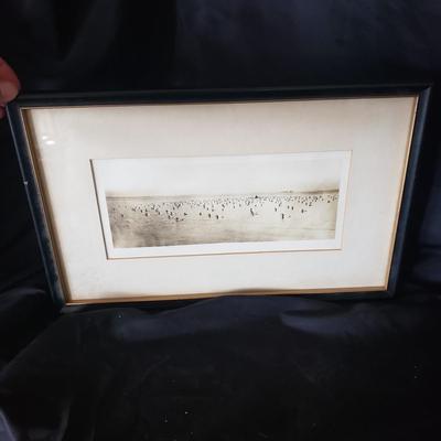 Decoy Books, a Wooden Loon by April F. and Vintage Duck on Water Framed Print (HC-KD)