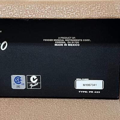 FENDER ~ Acoustasonic - 30 Amplifier