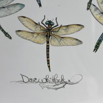 Artistic Hand Tied Fly Fishing Flies w/ Displays and more (MB-DZ)