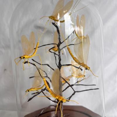 Artistic Hand Tied Fly Fishing Flies w/ Displays and more (MB-DZ)