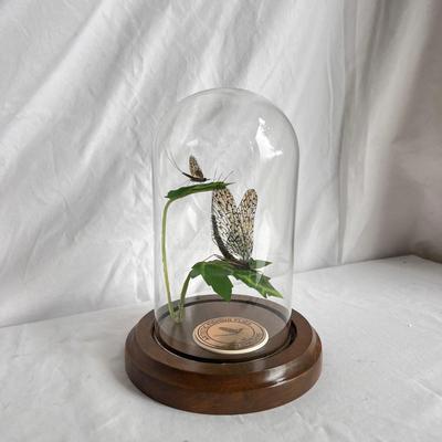 Artistic Hand Tied Fly Fishing Flies w/ Displays and more (MB-DZ)