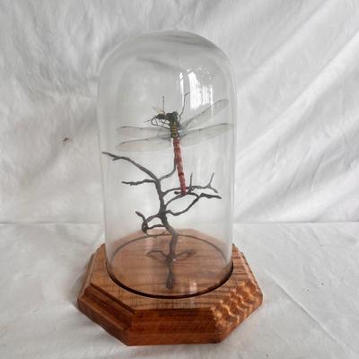 Artistic Hand Tied Fly Fishing Flies w/ Displays and more (MB-DZ)