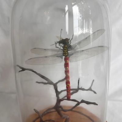Artistic Hand Tied Fly Fishing Flies w/ Displays and more (MB-DZ)