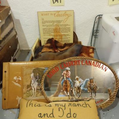 D47-Cowboy lot