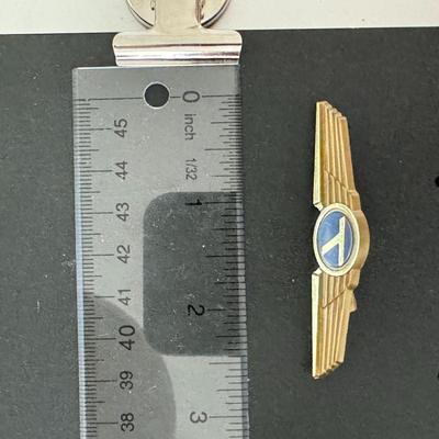 Piedmont Wings pin