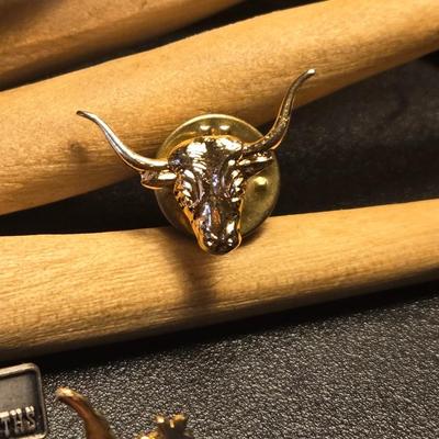 (5) Hat Pins