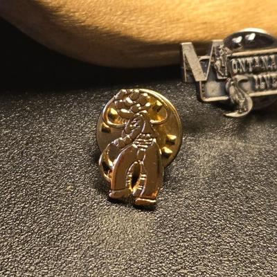 (5) Hat Pins