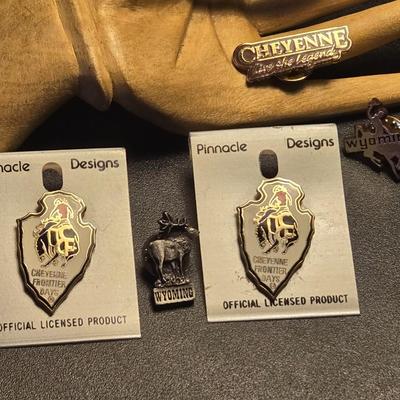 Wyoming and Montana Hat Pins