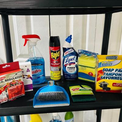 30+ Cleaning Supply & Tools Lot