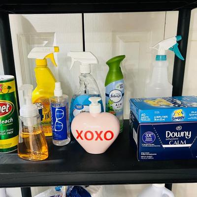 30+ Cleaning Supply & Tools Lot