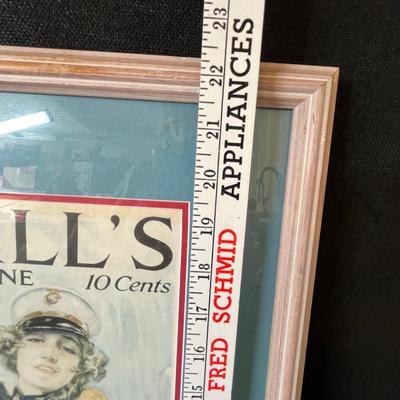 Framed pictures