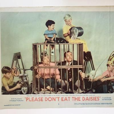 Please Don't Eat the Daisies original 1960 vintage lobby card