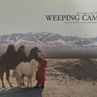 The Story of the Weeping Camel movie press book 