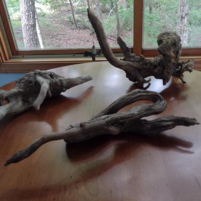 Collection of Driftwood Specimens