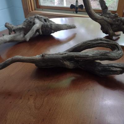 Collection of Driftwood Specimens