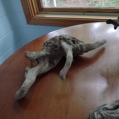 Collection of Driftwood Specimens
