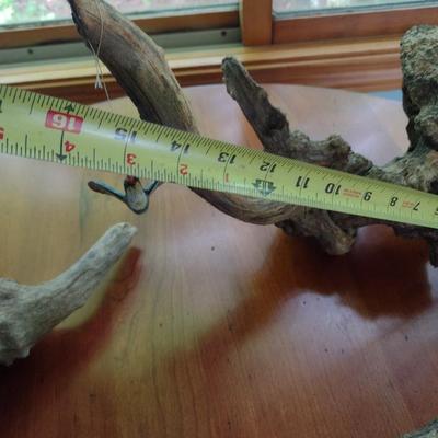 Collection of Driftwood Specimens