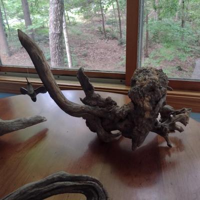Collection of Driftwood Specimens