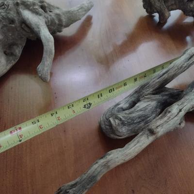 Collection of Driftwood Specimens