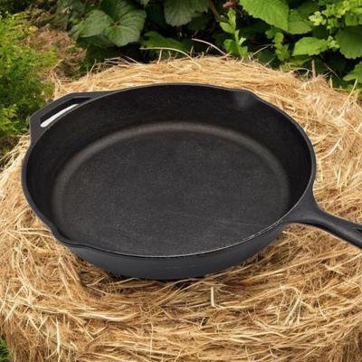 Lodge Cast Iron Skillet